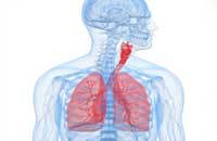 Image depicting Lung Care